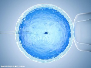 好孕案例